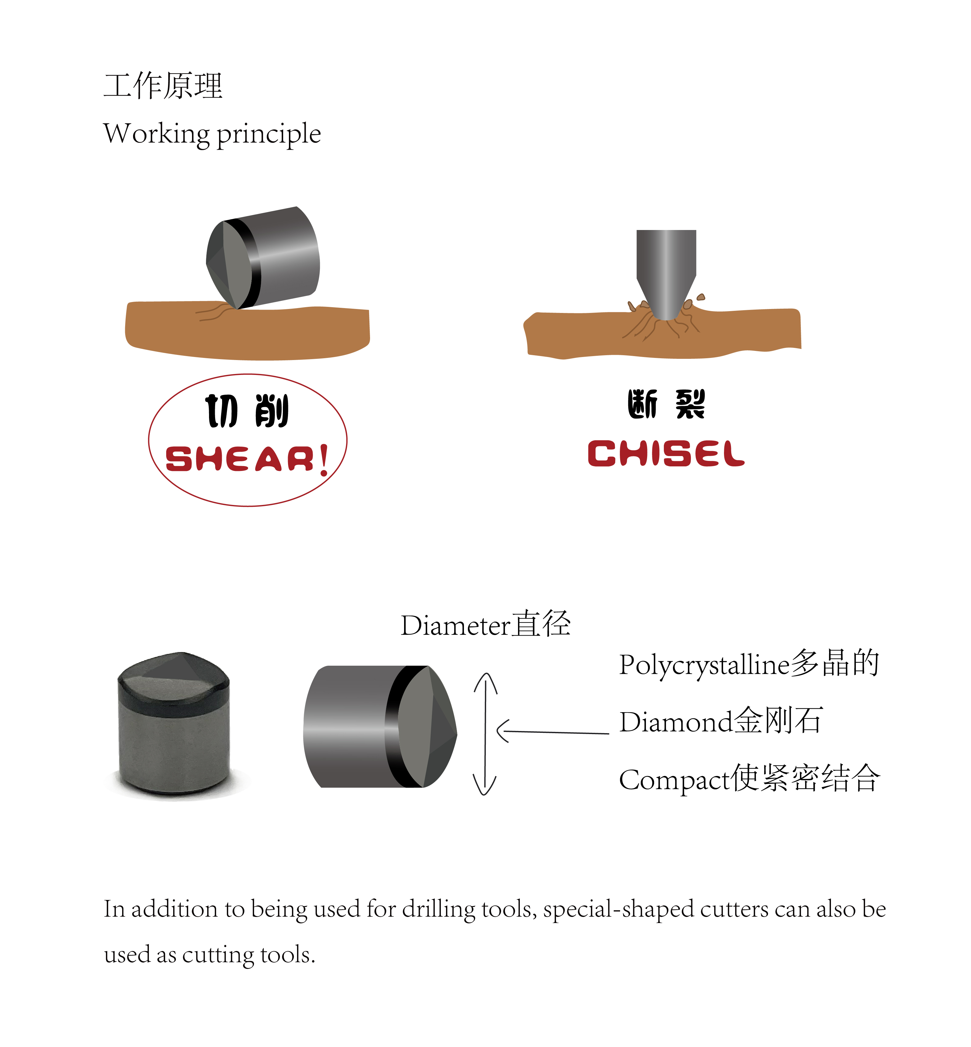 异形齿(图3)
